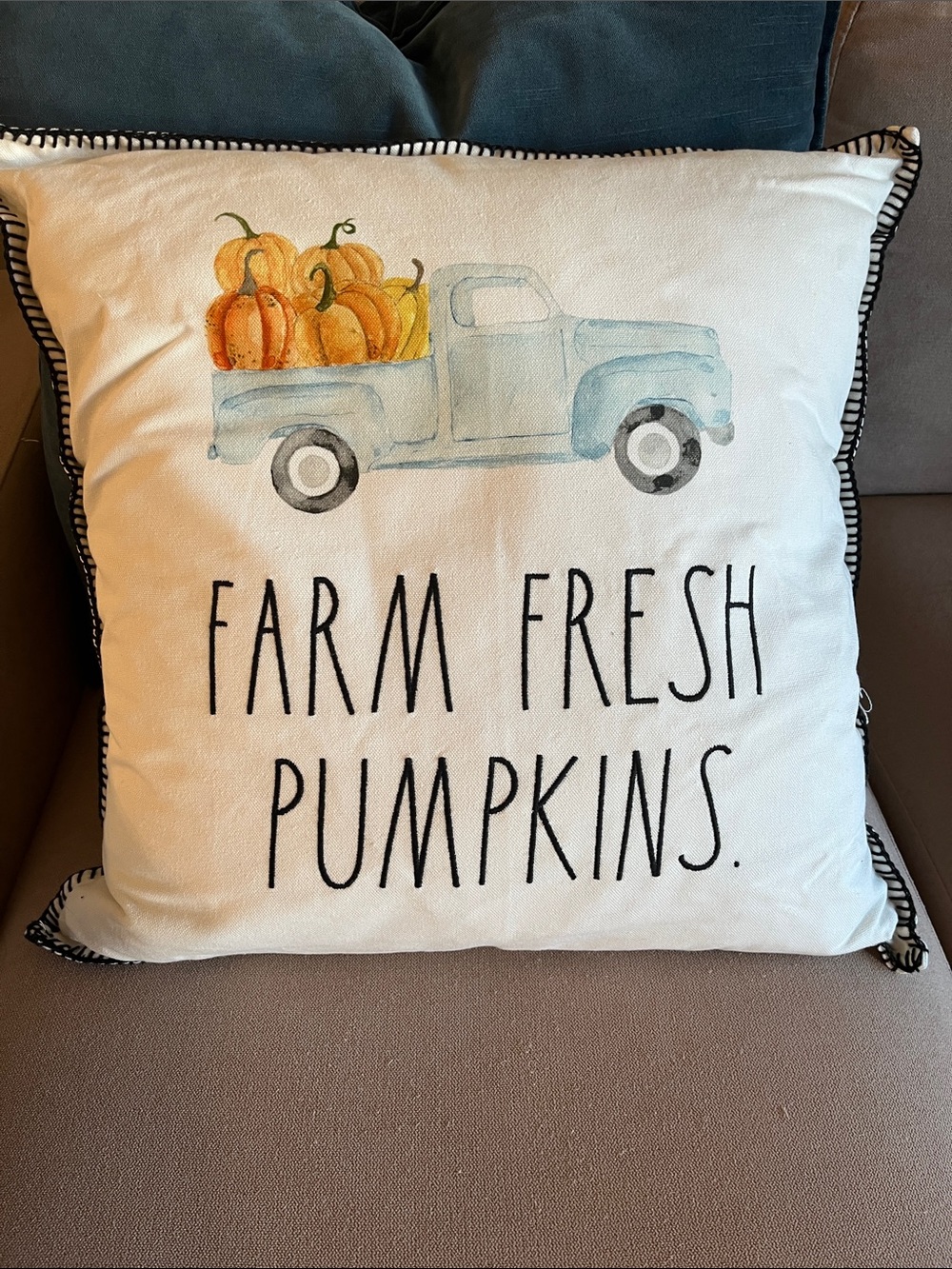 Rae Dunn Farm Fresh Pumpkins Accent Pillow